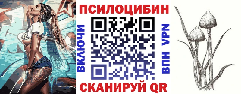Купить  Сорск  Псилоцибиновые грибы Psilocybine cubensis 